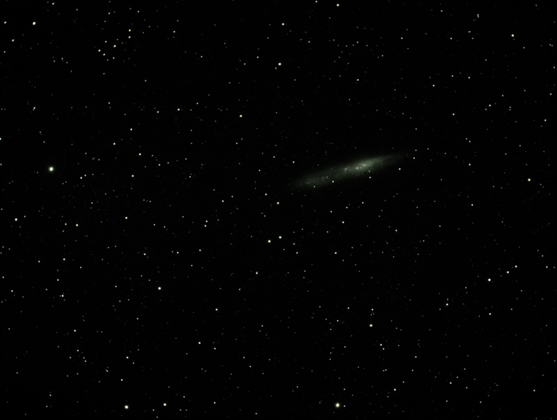 NGC 55