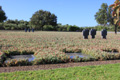 German Cemetery Maleme