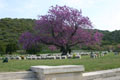 Shrapnel Valley Cemetery