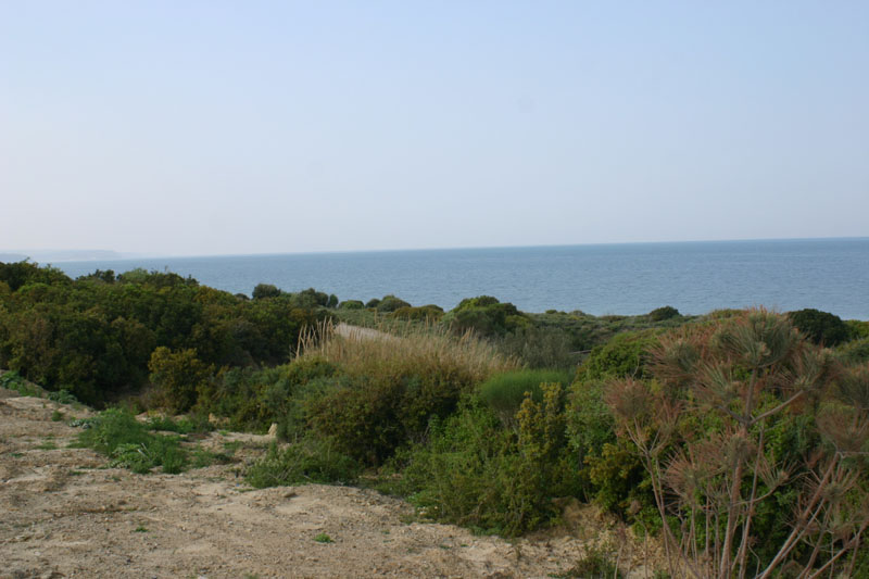 Beach Cemetery