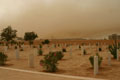 Tobruk Cemetery